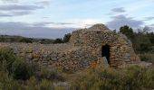 Tour Wandern Fitou - Fitou tournée des Cortals ,des serres, des plats et des coumes - Photo 19