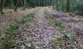 Trail Walking Saint-Aubin-du-Cormier - 27/12/2017 - ST AUBIN DU CORMIER d'est en ouest.Virtuel - Photo 19