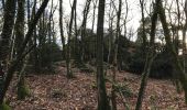 Trail Walking Saint-Aubin-du-Cormier - 27/12/2017 - ST AUBIN DU CORMIER d'est en ouest.Virtuel - Photo 4