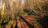 Trail Walking Longpont - en forêt de Retz_60_à la recherche de la Pierre Philippe - Photo 11