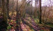Trail Walking Longpont - en forêt de Retz_60_à la recherche de la Pierre Philippe - Photo 10