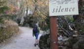 Trail Walking Plan-d'Aups-Sainte-Baume - grotte sr Marie Madeleine -col st Pilon - Photo 1