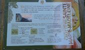 Trail Walking Plan-d'Aups-Sainte-Baume - grotte sr Marie Madeleine -col st Pilon - Photo 2