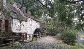 Tour Wandern Saint-Céneri-le-Gérei - St Cénéri - St Léonard - Photo 20