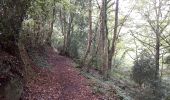 Tour Wandern Saint-Céneri-le-Gérei - St Cénéri - St Léonard - Photo 19