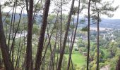 Tocht Stappen Saint-Céneri-le-Gérei - St Cénéri - St Léonard - Photo 12