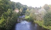 Tocht Stappen Saint-Céneri-le-Gérei - St Cénéri - St Léonard - Photo 6