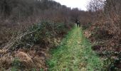 Randonnée Marche Bouillon - Cornette-Hayons par Rau des Aleines - Photo 2