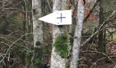 Tour Wandern Bouillon - Cornette-Hayons par Rau des Aleines - Photo 1