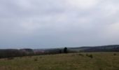 Randonnée Cheval Jouey - Balade Buan, cabane de chasse - Photo 1