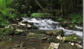 Tocht Stappen Tardinghen - Sentier du Fartz - Wissant - Photo 5