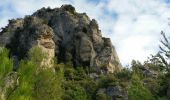 Tour Wandern La Roquebrussanne - la roquebrussanne St André la grotte aux 400 moutons - Photo 3