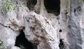 Randonnée Marche La Roquebrussanne - la roquebrussanne St André la grotte aux 400 moutons - Photo 1