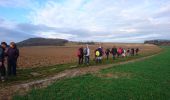 Trail Walking Thoury-Férottes - 180111 EnCours - Photo 13