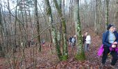 Trail Walking Thoury-Férottes - 180111 EnCours - Photo 12