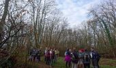 Trail Walking Thoury-Férottes - 180111 EnCours - Photo 8