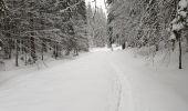 Percorso Racchette da neve Bois-d'Amont - Chalet Gaillard Bois d'Amont  - Photo 1