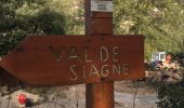 Excursión Senderismo Le Tignet - Val de Siagne - Photo 1