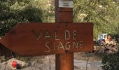 Randonnée Marche Le Tignet - Val de Siagne - Photo 1