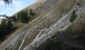Trail Walking La Roche-des-Arnauds - R20   Col de Conode - Photo 3