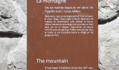 Randonnée Marche Garde-Colombe - R33   La Montagne de Saint Genis - Photo 13