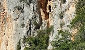 Excursión Senderismo Cabasse - cabasse le trou des fées dolmen de gatee - Photo 4