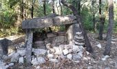 Percorso Marcia Cabasse - cabasse le trou des fées dolmen de gatee - Photo 1