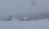 Tocht Sneeuwschoenen Haut Valromey - ferme bernard _croix de montlhery - Photo 1