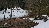 Tour Wandern Woll - lac des Corbeaux et Sechemer - Photo 1