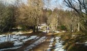 Tour Wandern Buhl - Rimbach (25-01-2018) - Photo 1
