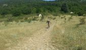 Trail Mountain bike Veynes - VTT02 - Aiguebelle - Photo 3