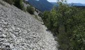 Trail Mountain bike Veynes - VTT07 - Les Sauvas - Photo 6