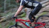 Trail Mountain bike La Roche-des-Arnauds - VTT22 - Les Bans - Photo 2