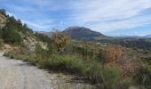 Trail Mountain bike La Roche-des-Arnauds - VTT22 - Les Bans - Photo 9