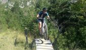 Trail Mountain bike La Roche-des-Arnauds - VTT22 - Les Bans - Photo 4