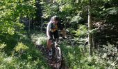Trail Mountain bike La Roche-des-Arnauds - VTT22 - Les Bans - Photo 3