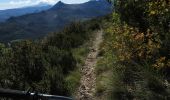 Trail Mountain bike La Piarre - VTT27 - Sous le Duffre - Photo 3