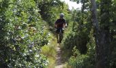 Trail Mountain bike La Piarre - VTT27 - Sous le Duffre - Photo 5