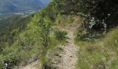 Trail Mountain bike Montmaur - VTT28 - Rabioux - Photo 6