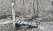 Trail Walking Cheminas - Lac des Meinettes - Photo 1