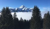 Tocht Sneeuwschoenen Châtel - Petit Châtel haut - col de Saix par en haut - Théo - Petit Châtel  - Photo 1