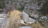 Trail Walking Lussas - canyon de la Louyre  Ardèche 07 Janvier 2018  - Photo 16
