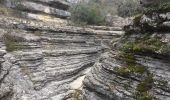 Excursión Senderismo Lussas - canyon de la Louyre  Ardèche 07 Janvier 2018  - Photo 10