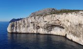 Trail Walking Marseille - Cap morgiou et bec de Sormiou - Photo 9