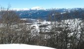 Tour Schneeschuhwandern Bouvante - Fond d,Hurle - la gagère - Photo 6