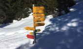 Excursión Raquetas de nieve Châtel - Super Châtel - Porte Culet - Morgins  - Photo 1