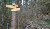 Trail Walking Lamure-sur-Azergues - Reco rando La Mure sur Azergue - Photo 1