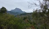 Tocht Stappen Roquebrune-sur-Argens - sentier au fil de l eau - Photo 1