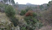 Percorso Marcia Roquebrune-sur-Argens - sentier au fil de l eau - Photo 2