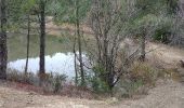 Tocht Stappen Roquebrune-sur-Argens - sentier au fil de l eau - Photo 4